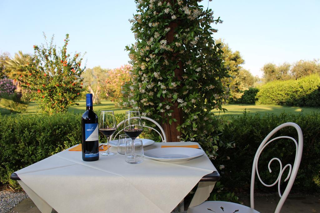 Agriturismo Eucaliptus Bolgheri Exterior foto